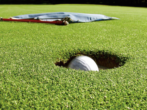 Golf ball - In the hole!
