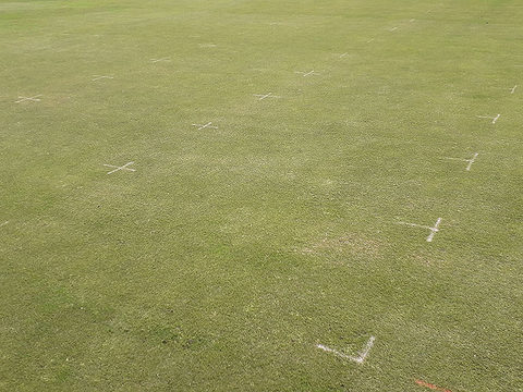 STRI Primo Maxx trial week 2 overall