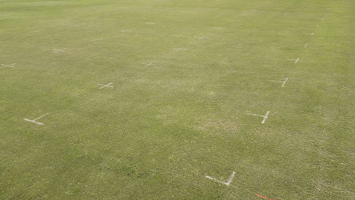 STRI Primo Maxx trial week 2 overall