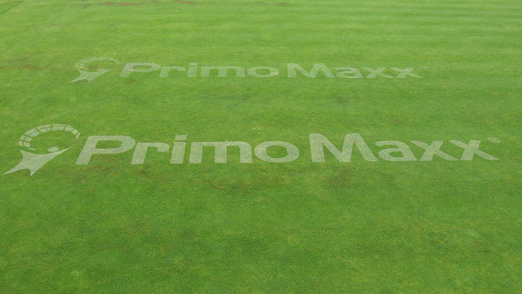 Primo Maxx line marking trial STRI