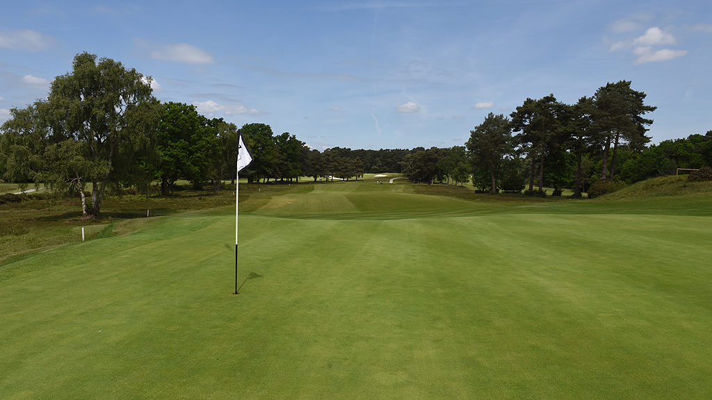 Blackmoor Golf Club 18th green